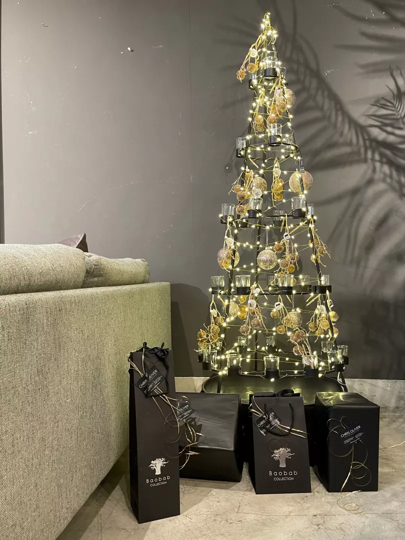 photo_article_sapin_
