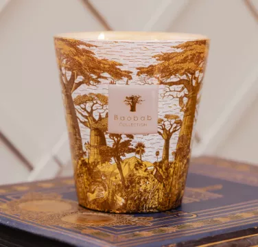 bougies-baobab-sacred-trees.png
