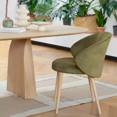 chaise-de-salon-velours.png